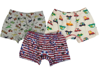 ERKEK 4/5  YAŞ KARIŞIK BASKILI 12'Lİ BOXER