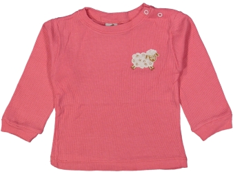 KIZ 6/24 AY WAFFLE OMUZDAN ÇITÇITLI KUZULU BADİ