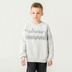 ERKEK ERKEK/ERKEK AY 9,12 yaş erkek sweat 3İP