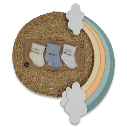 ERKEK 1/9 AY 12Lİ PVC KARIŞIK DESEN NEW BORN ÇORAP