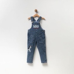 ERKEK ÇOCUK  ERKEK ÇOCUK/ERKEK ÇOCUK AY OVERDO ERK