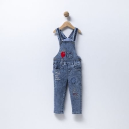 ERKEK ÇOCUK  ERKEK ÇOCUK/ERKEK ÇOCUK AY OVERDO ERK