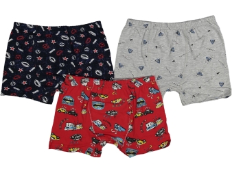 ERKEK 10/11  YAŞ  KARIŞIK BASKILI 12'Lİ BOXER