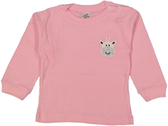 ERKEK 6/24 AY WAFFLE OMUZDAN ÇITÇITLI İNEK BADİ